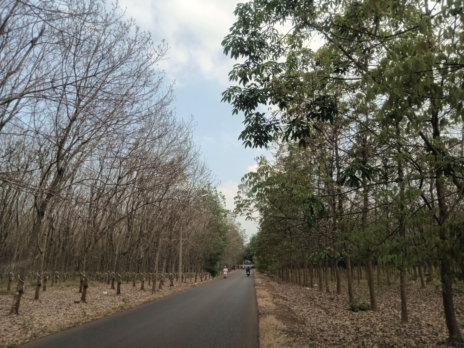 Nét đẹp quê nhà