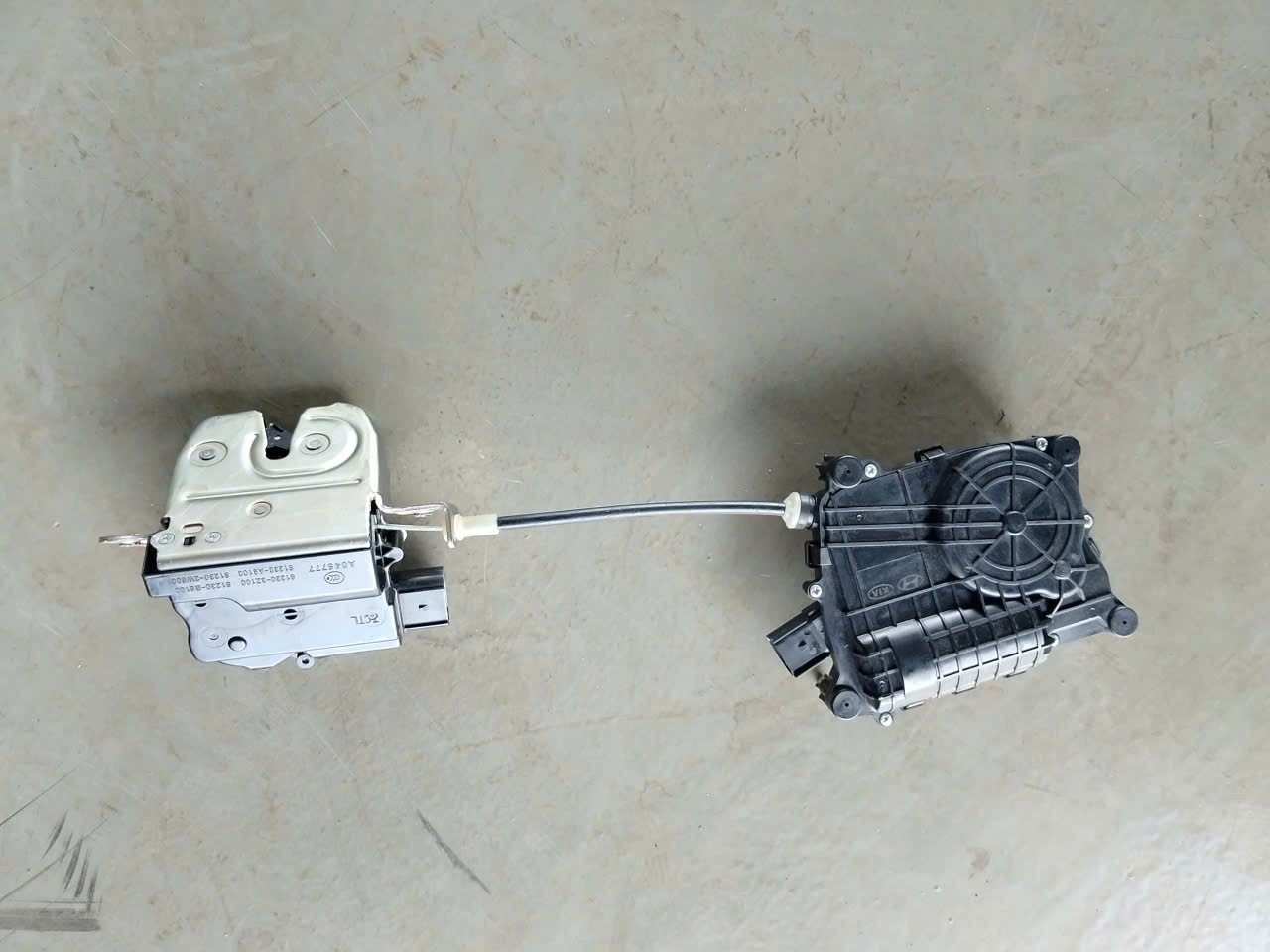 Tuần mới nhiều niềm vui mới