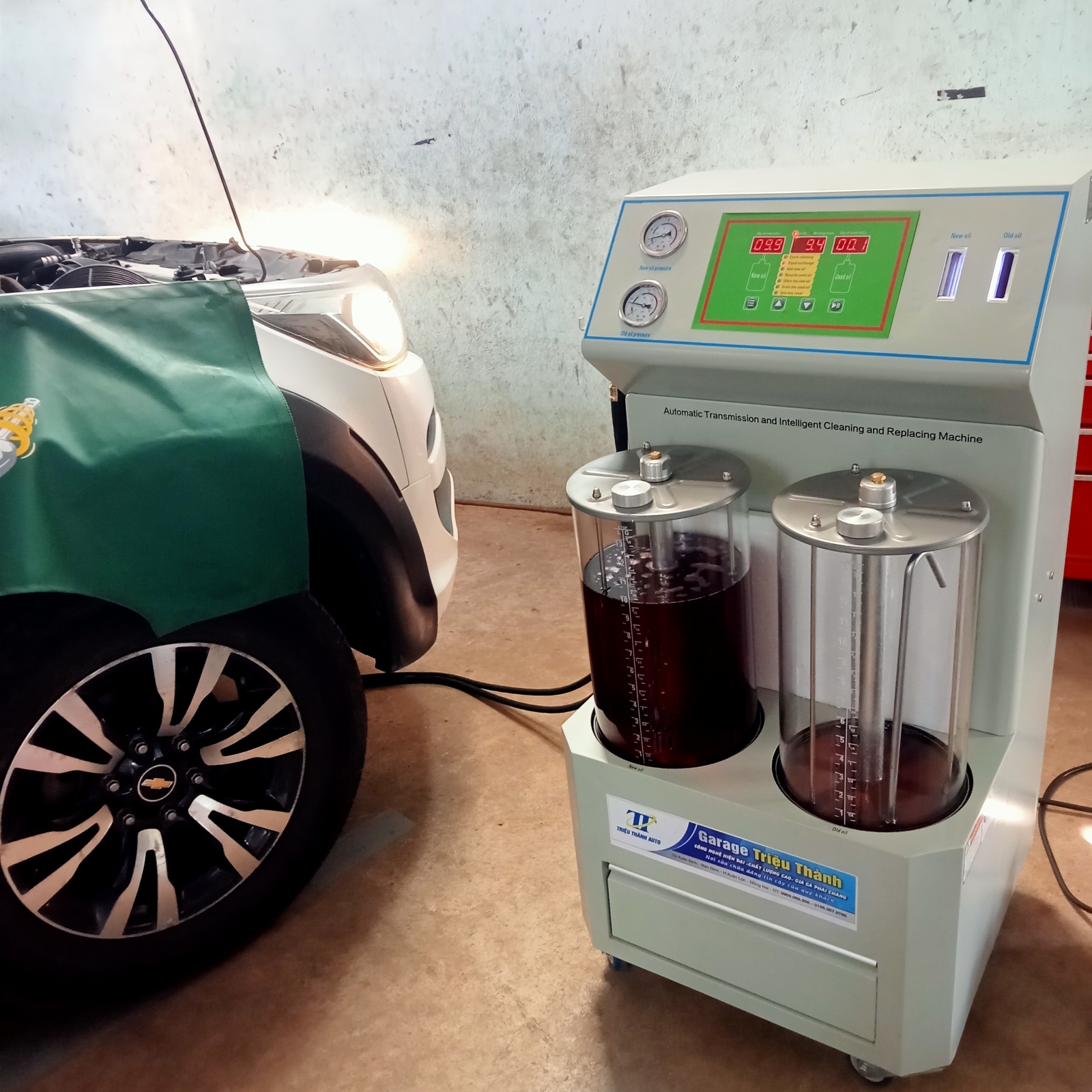 Thay nhớt số tuần hoàn