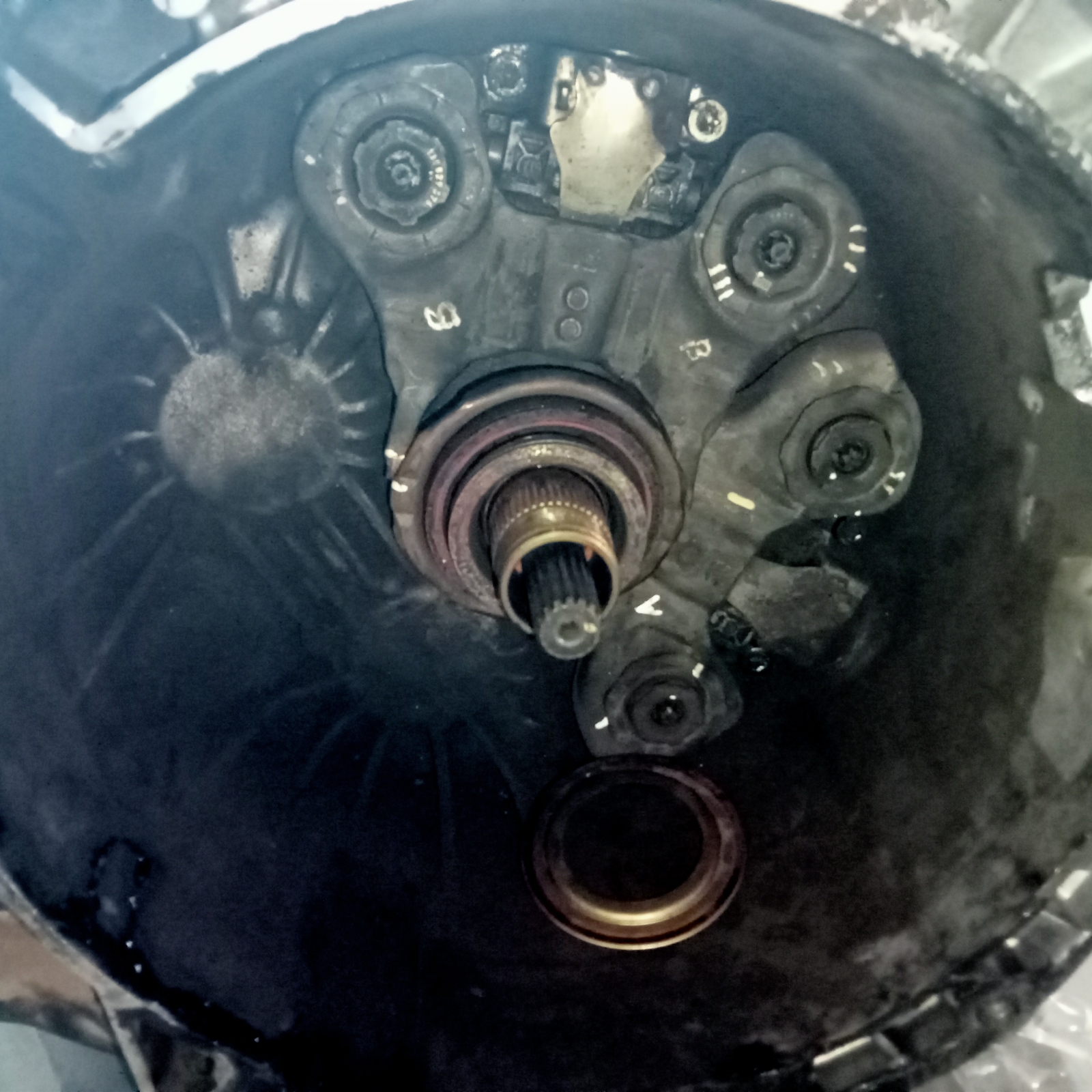 Nét đẹp quê nhà