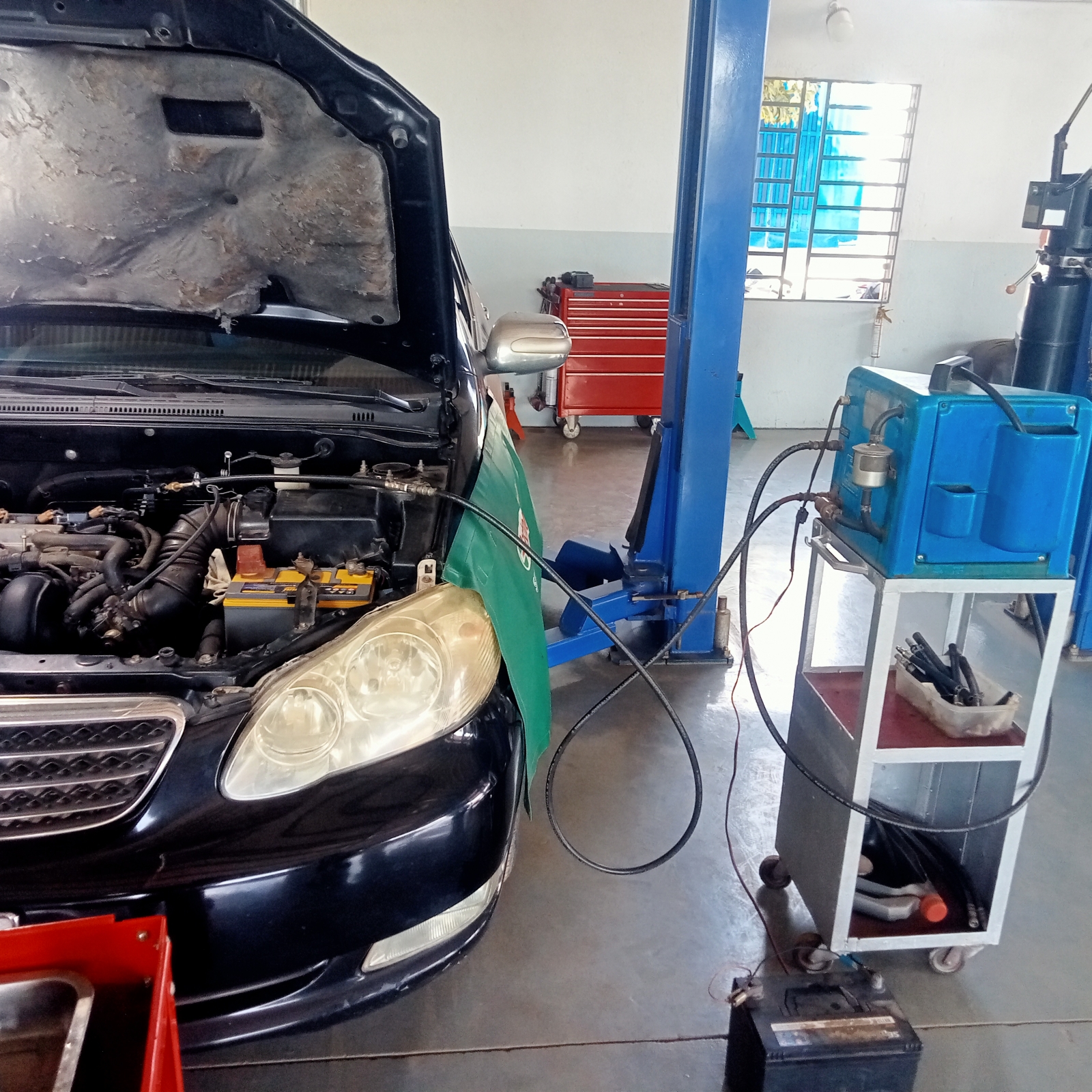 Không khí xuân đang về