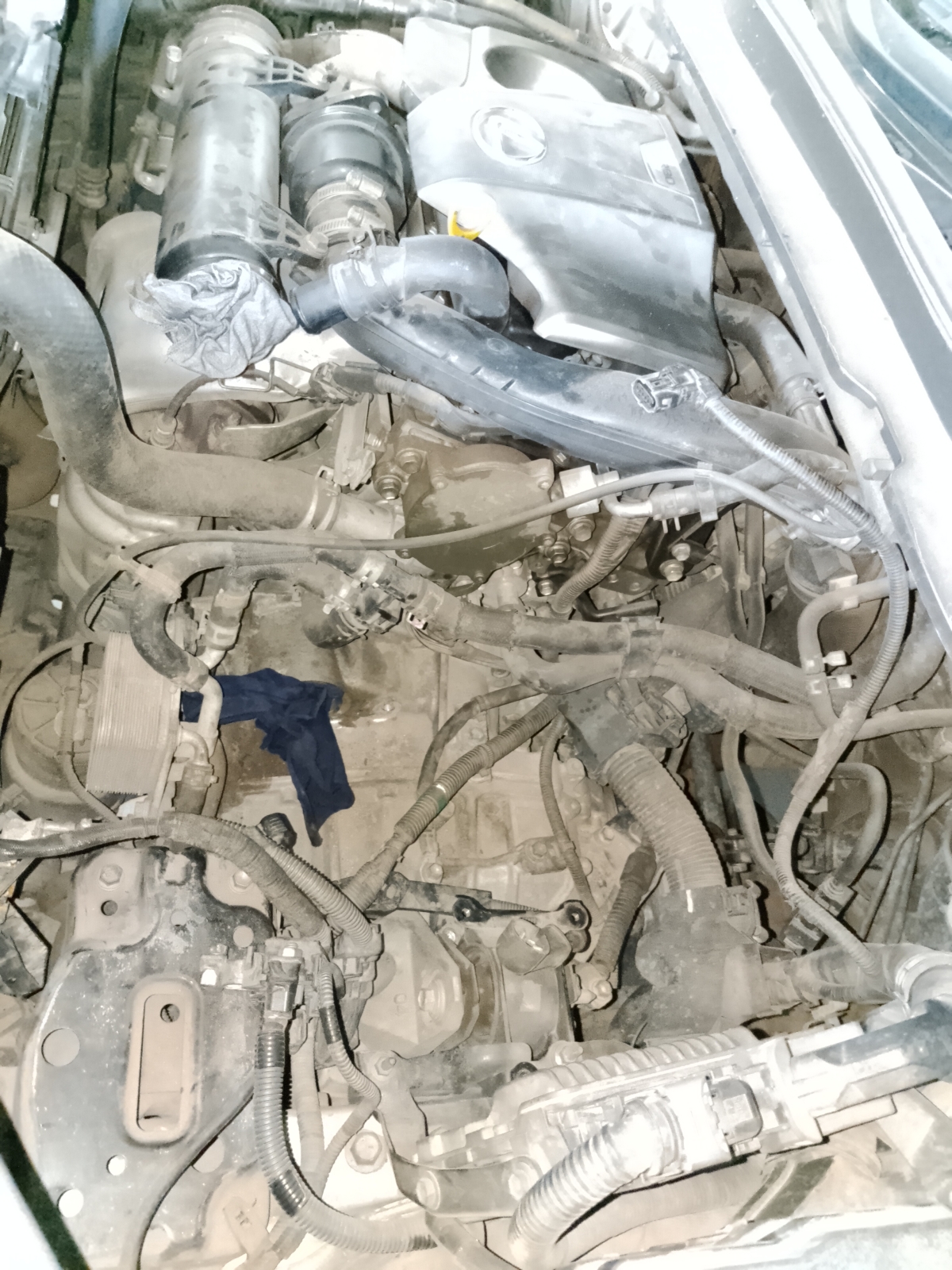 Ngày mới nhiều năng lượng